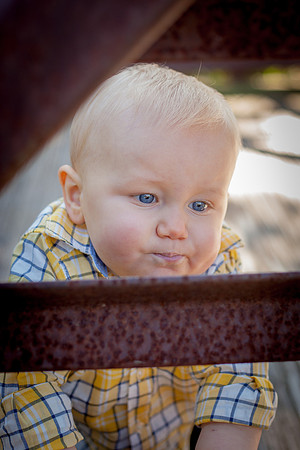 bhostphoto_329
