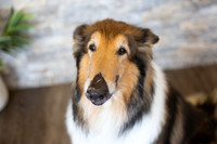 bhostphoto_047