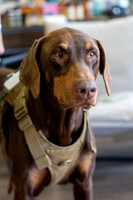 bhostphoto_088