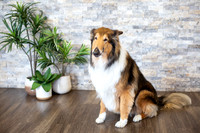 bhostphoto_043