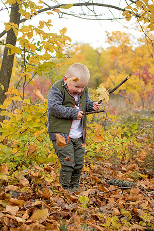 bhostphoto_044