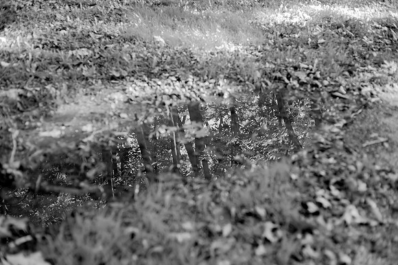 bhostphoto_296_bw