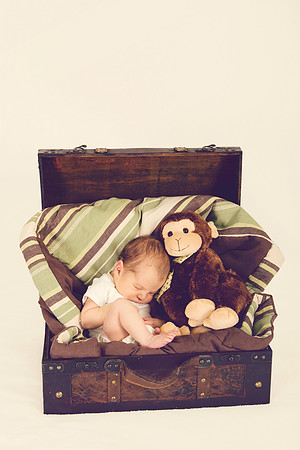 IMG_9599_1 copy
