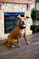 bhostphoto_019