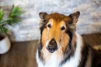 bhostphoto_049
