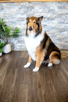 bhostphoto_040