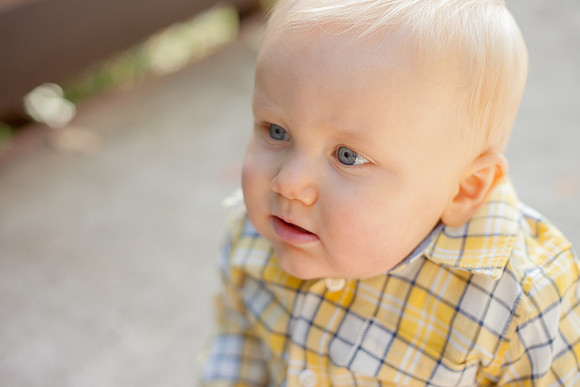 bhostphoto_206