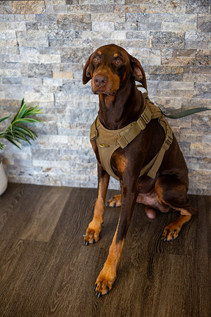 bhostphoto_082