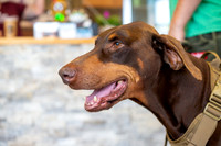 bhostphoto_084