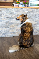 bhostphoto_037