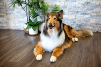bhostphoto_032