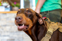 bhostphoto_087