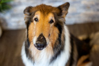 bhostphoto_046