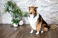 bhostphoto_044