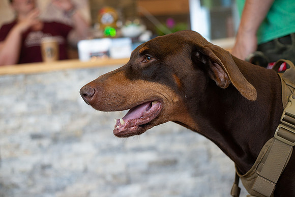 bhostphoto_085