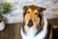 bhostphoto_048