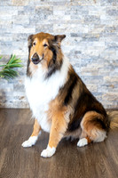 bhostphoto_042