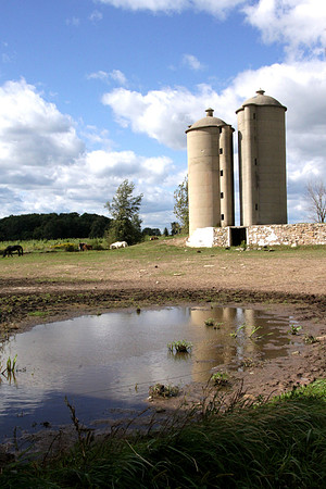 bhostphoto_107