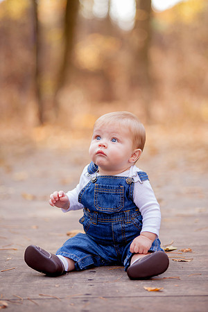 bhostphoto_152
