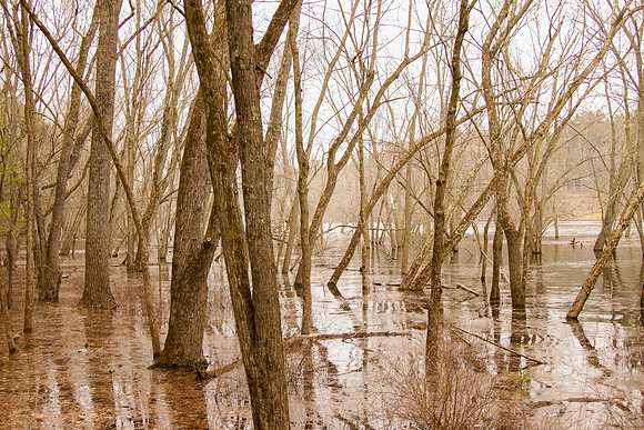bhostphoto_095