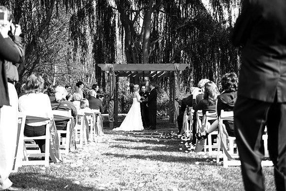 ccSolon_237_bw