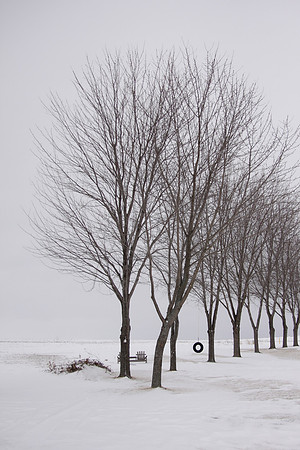 bhostphoto_064