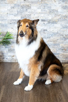 bhostphoto_041