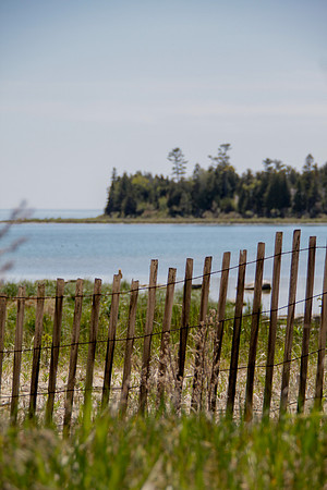 bhostphoto_013