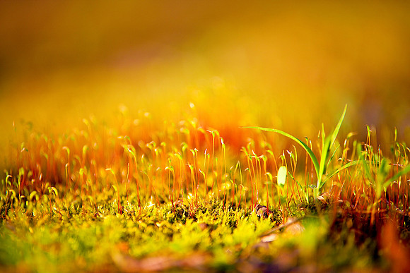 bhostphoto_104