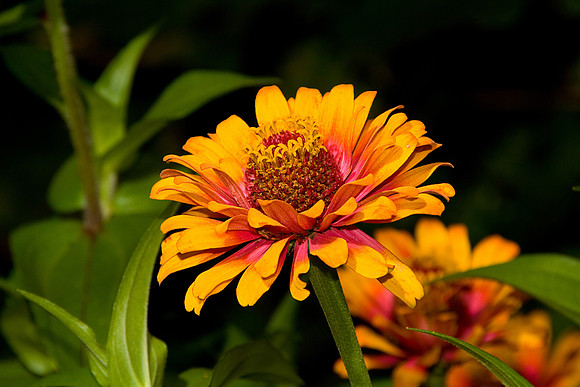 bhostphoto_132