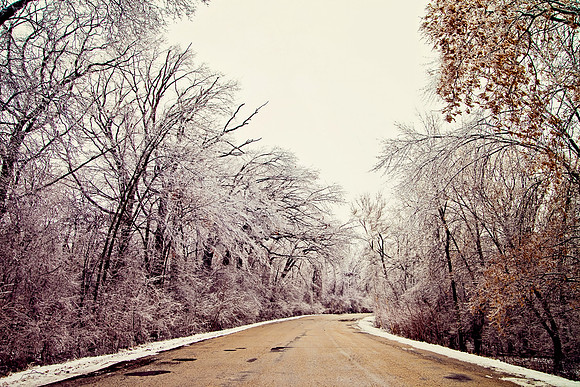 bhostphoto_089