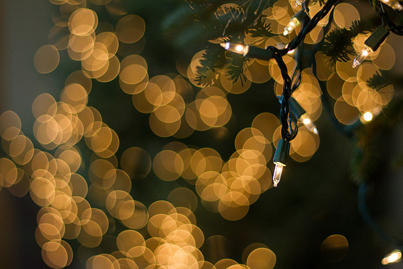 bhostphoto_0145
