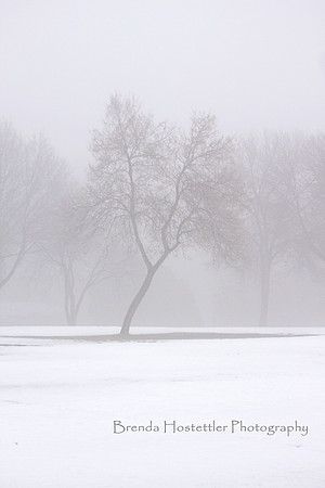 bhostphoto_024
