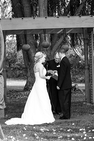 ccSolon_233_bw