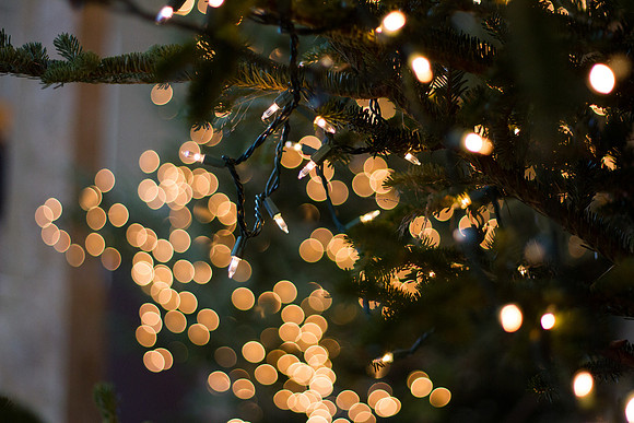 bhostphoto_0140