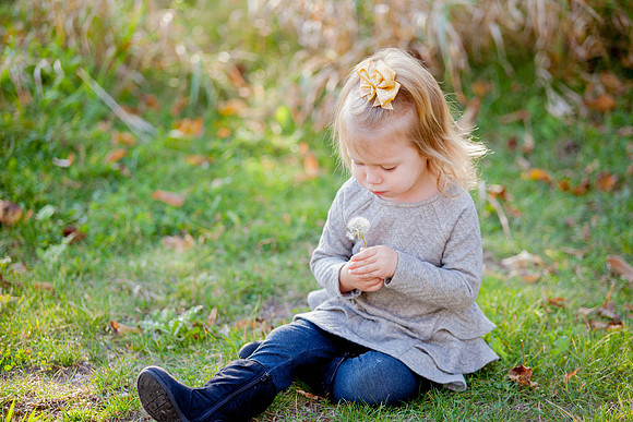bhostphoto_331