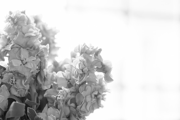bhostphoto_055_BW