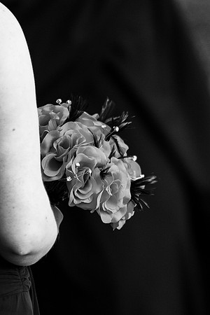 ccSolon_180_bw