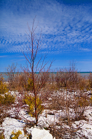 bhostphoto_081