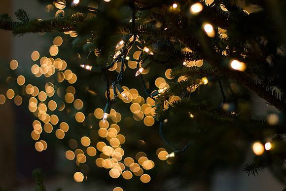 bhostphoto_0142