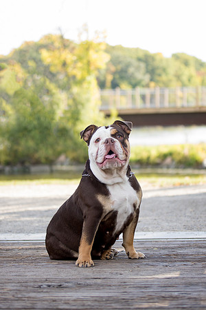 bhostphoto_187