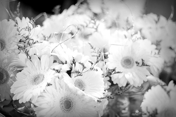 amy_andy_0086_bw