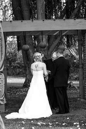 ccSolon_232_bw