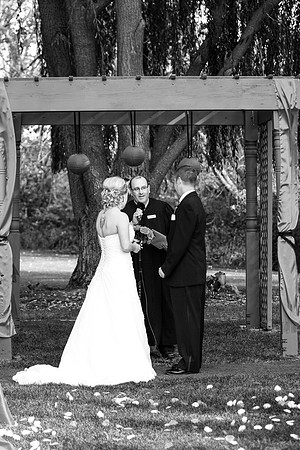 ccSolon_234_bw