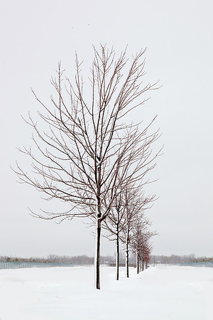 bhostphoto_093