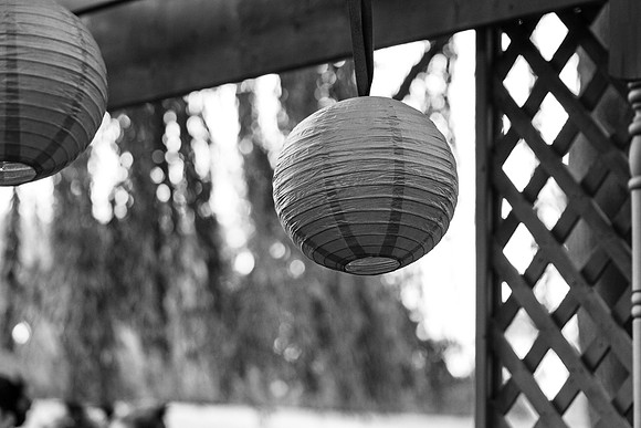 ccSolon_192_bw