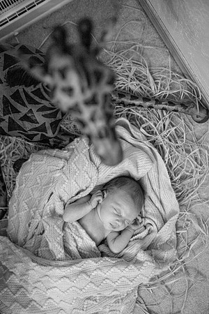 bhostphoto_031_BW