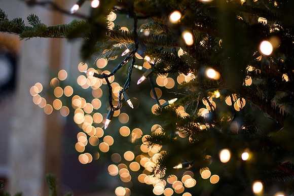 bhostphoto_0139