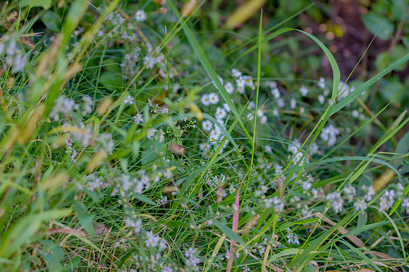 bhostphoto_319