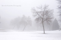 bhostphoto_017